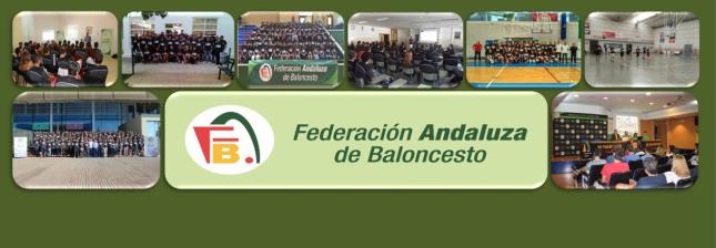Clinc Arbitrales Delegaciones FAB 16 - 17