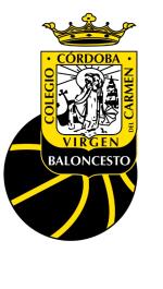 COLEGIO VIRGEN DEL CARMEN