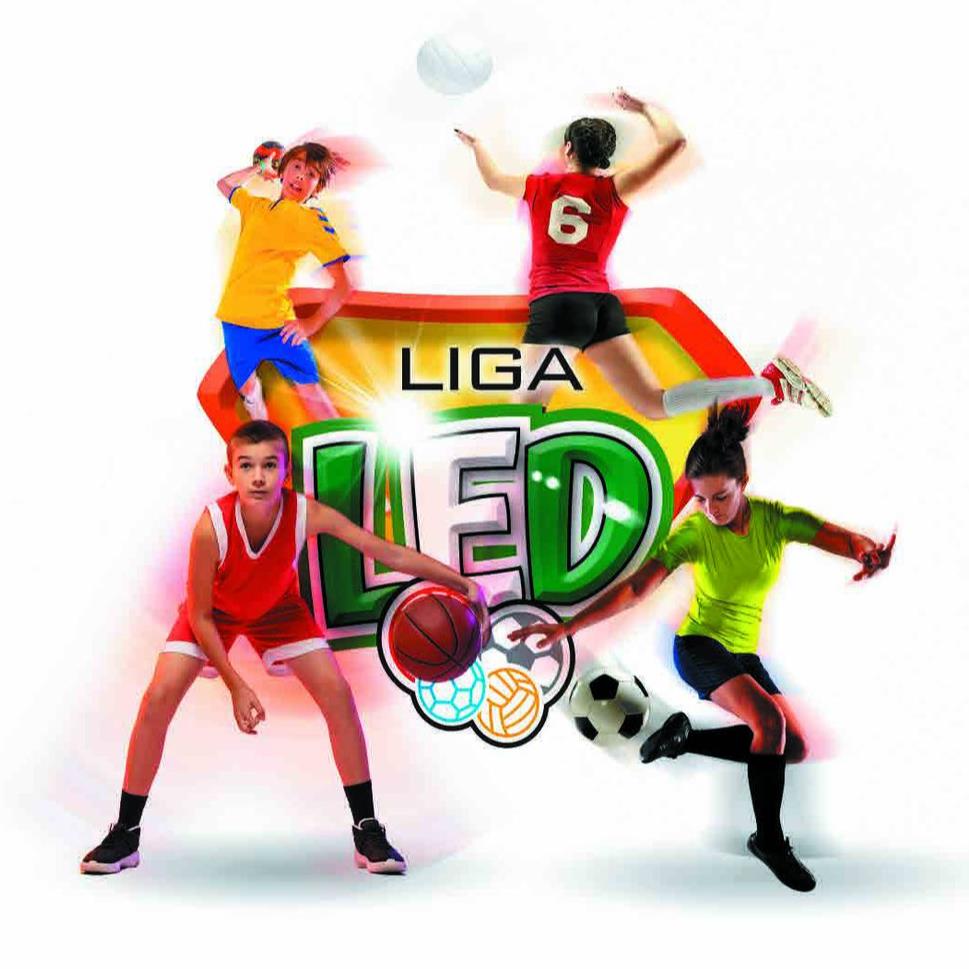 Final Liga LED HUELVA