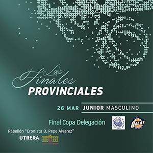 FINAL COPA DELEGACION JUNIOR MASCULINA