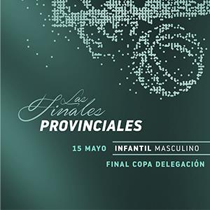 FINAL COPA DELEGACION INFANTIL MASCULINA