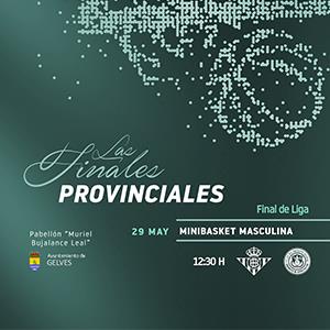 FINAL MINIBASKET MASCULINA GELVES