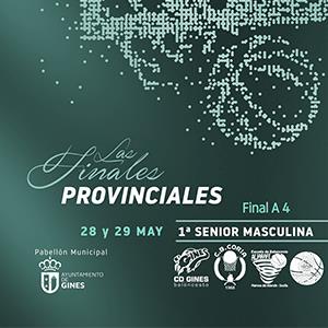 FINAL A 4 1ª SENIOR MASCULINA  GINES