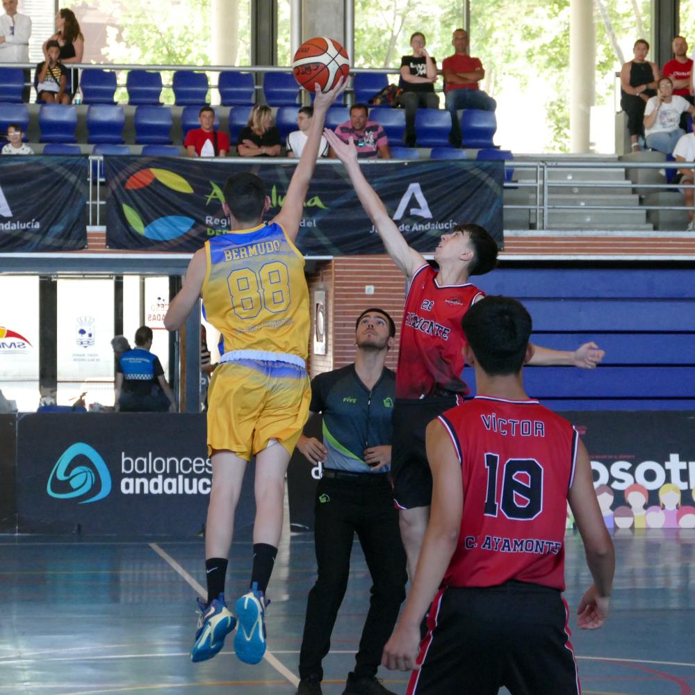 FASE FINAL CADETE MASCULINA FEDERADA