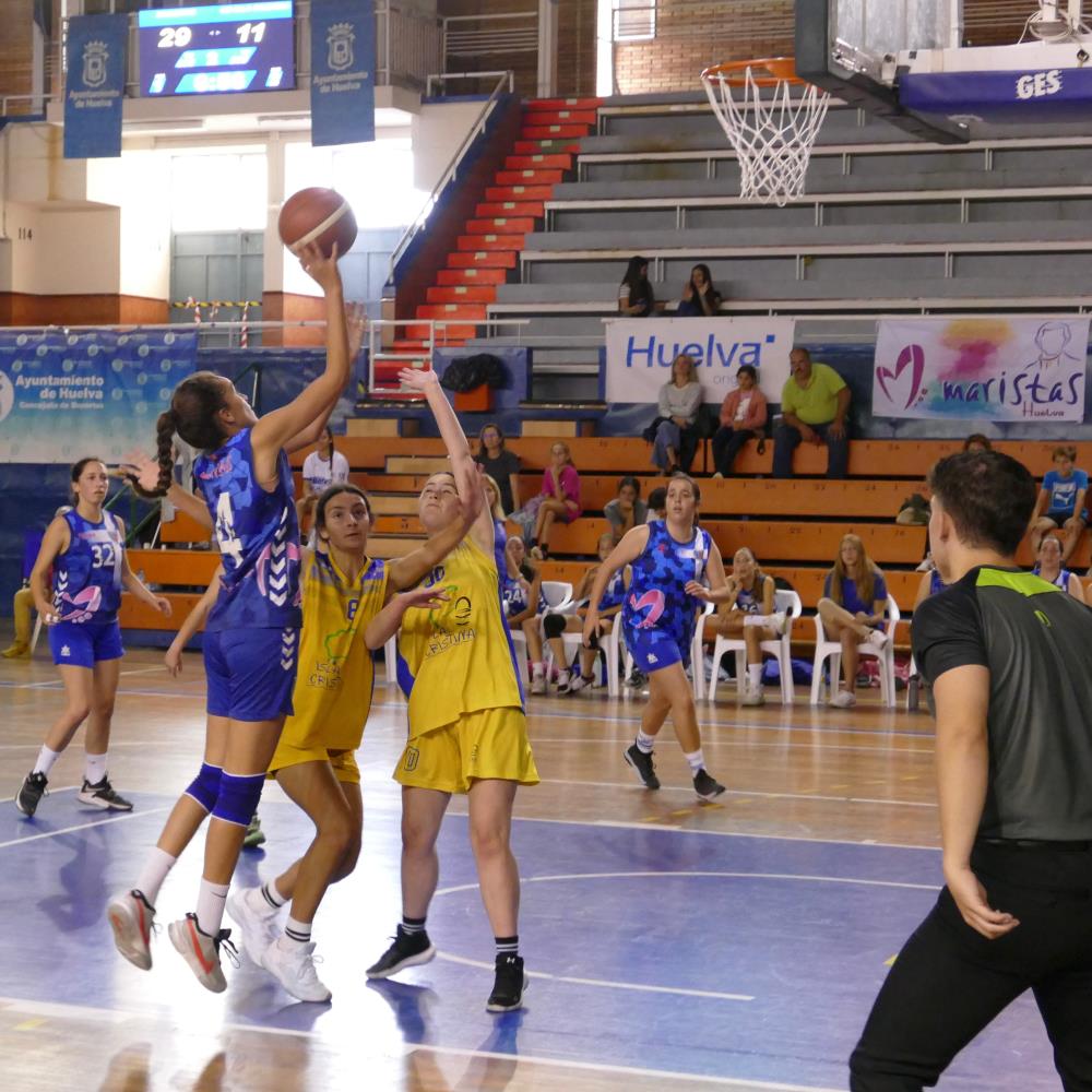 FASE FINAL CAD FEM FEDERADA