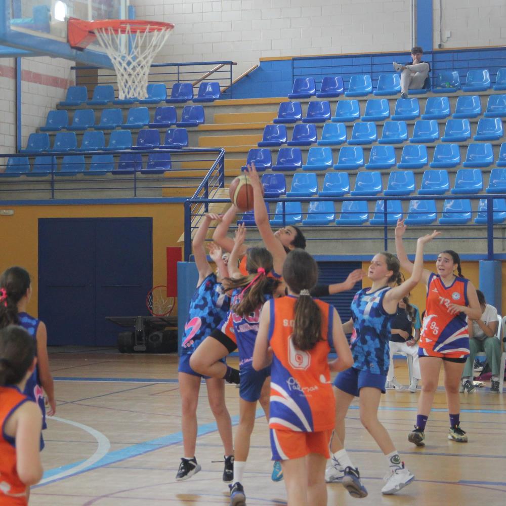 COPA FEDERACIÓN INFANTIL FEMENINA 23-24