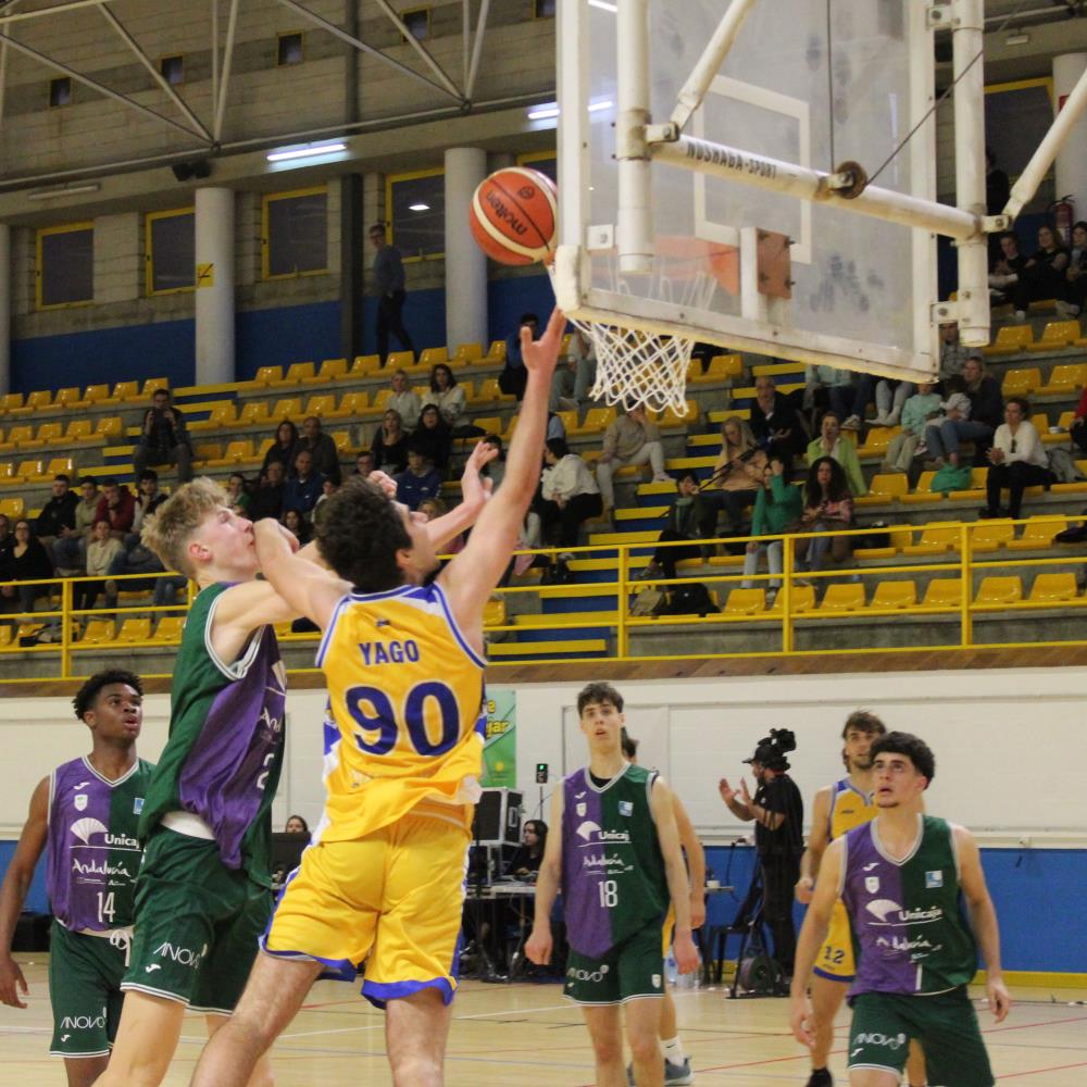 Finales Júniors 23/24 (Fase Cto. Andalucía)