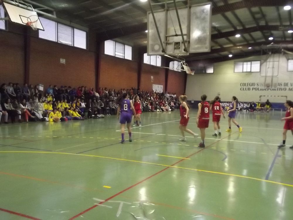 FASE A4 CADETE FEMENINA 14-15