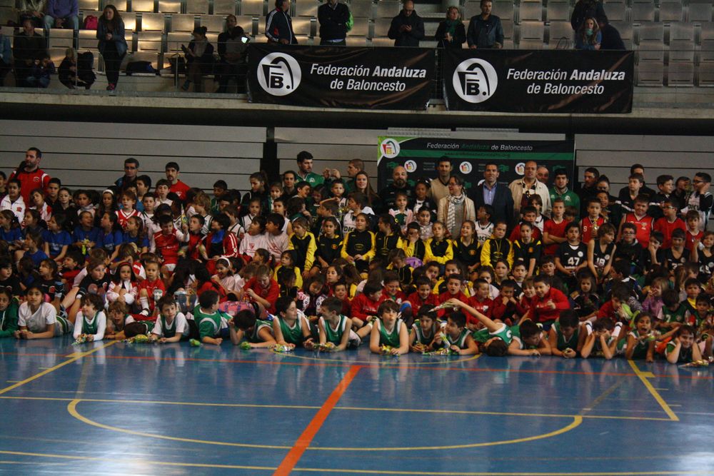 V Fiesta de Clausura Programa Benjamín