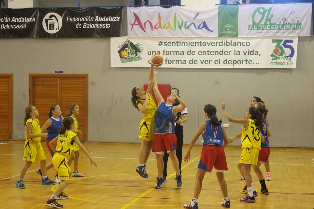 CB ANDUJAR - BF LA CARLOTA (Jornada 2ª -02.07.15)