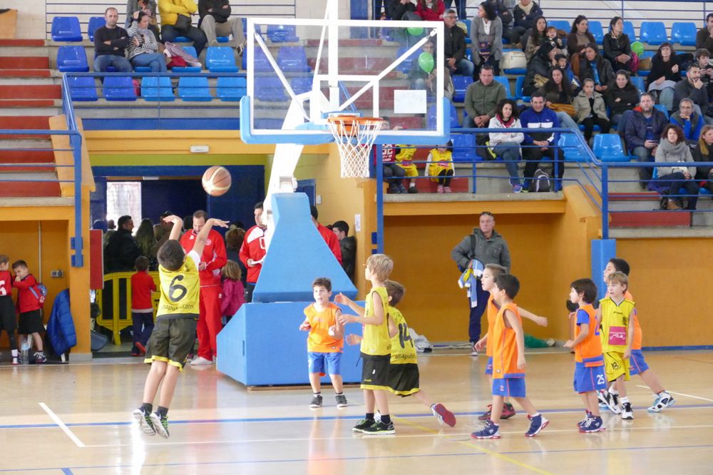 1ª FIESTA PREMINI Y BABYBASKET 15/16 EN LA PALMA