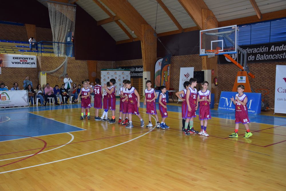 II Fiesta Preminibasket