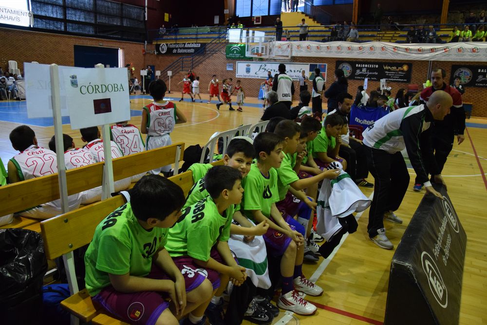 II Fiesta Preminibasket