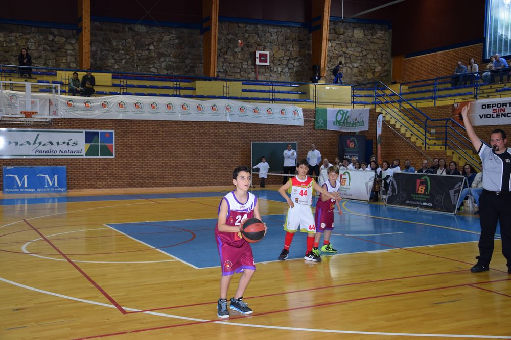 II Fiesta Preminibasket