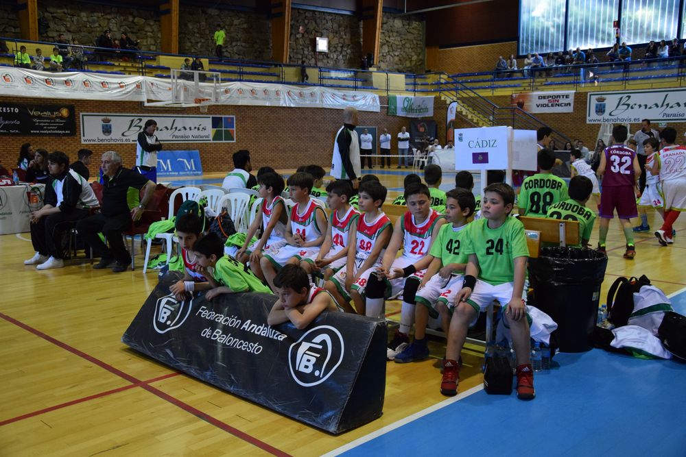 II Fiesta Preminibasket