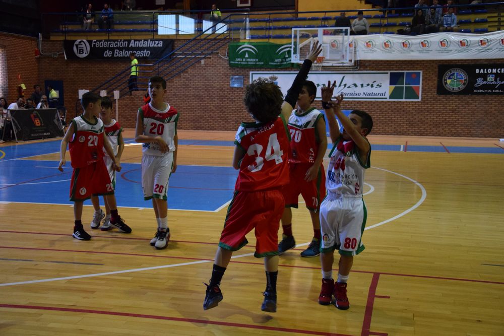 II Fiesta Preminibasket