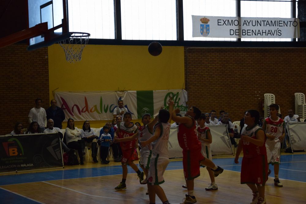 II Fiesta Preminibasket