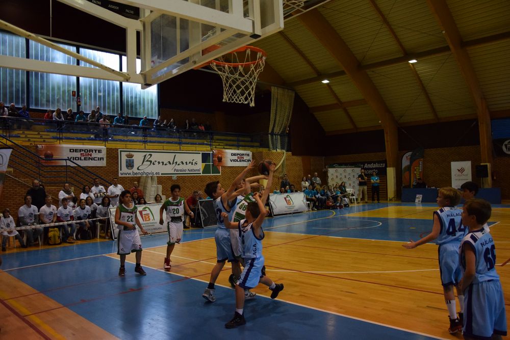 II Fiesta Preminibasket