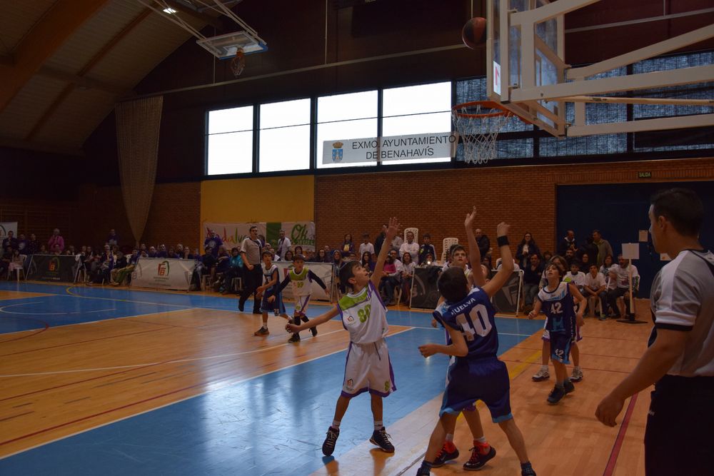 II Fiesta Preminibasket