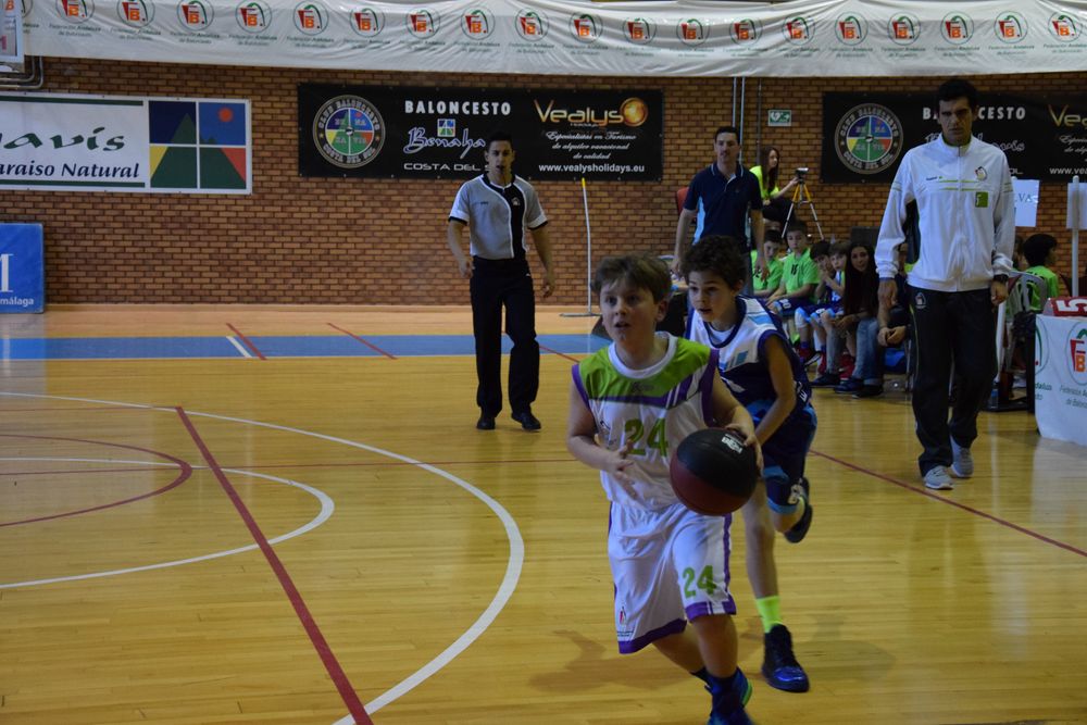 II Fiesta Preminibasket