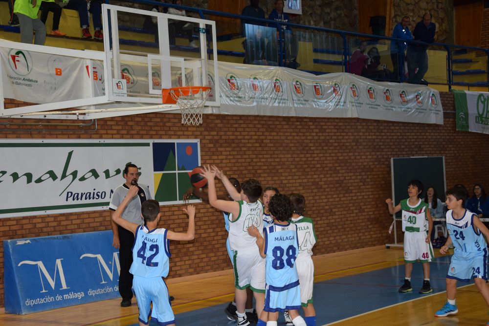 II Fiesta Preminibasket