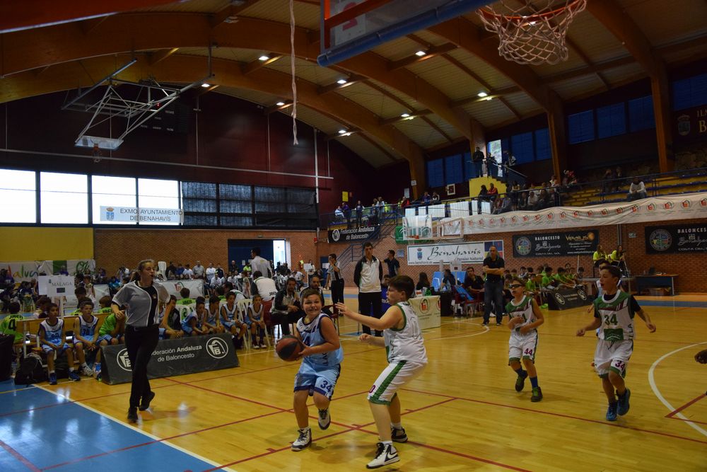 II Fiesta Preminibasket