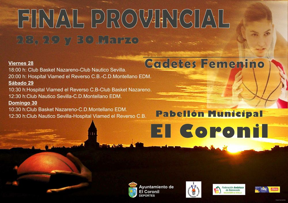 CARTELES FASES FINALES FABSEVILLA 13/14