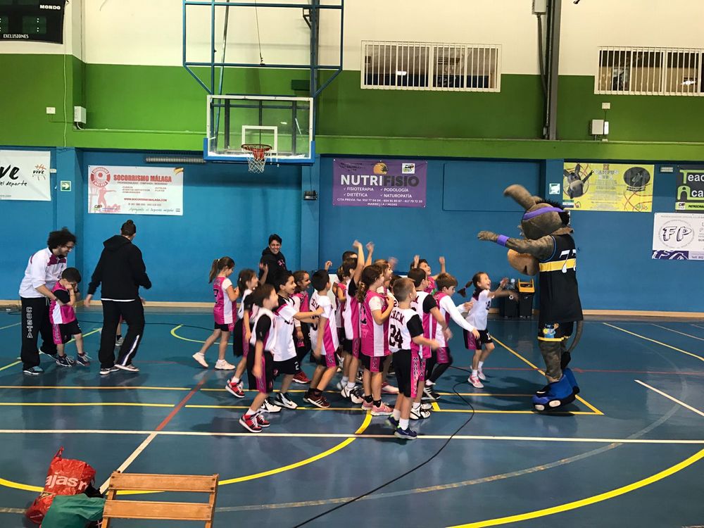 Liga Babybasket 2016-17