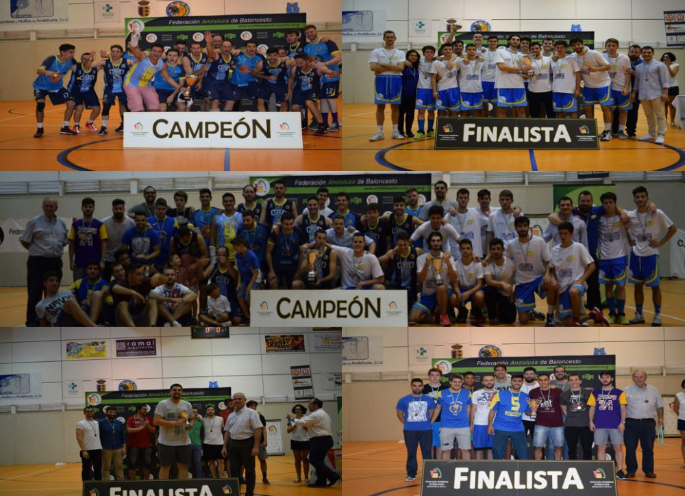 FASE FINAL 1ª SENIOR MASCULINA. OLIVARES