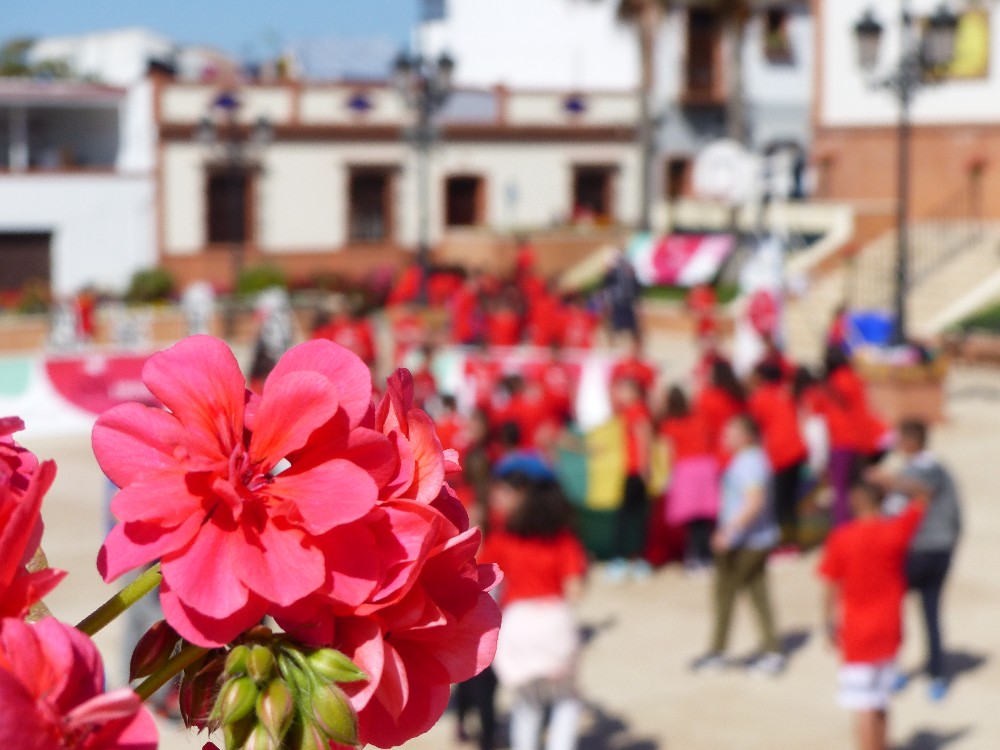 DISFRUTA, JUEGA Y GANA - PALOS DE LA FRONTERA