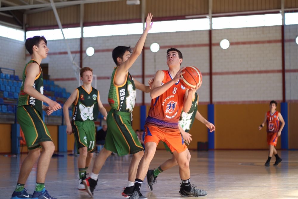 Copa Federación JUNIOR MASCULINA 2019