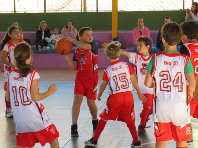 foto-42920.jpg