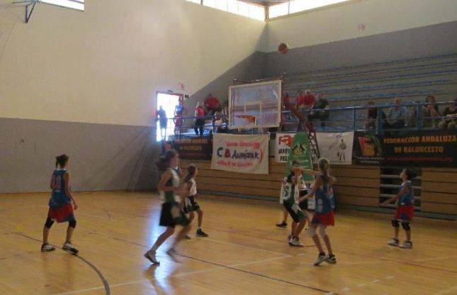 Edición 13 - 14