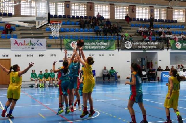 CADEBA Infantil Femenino 15 - 16