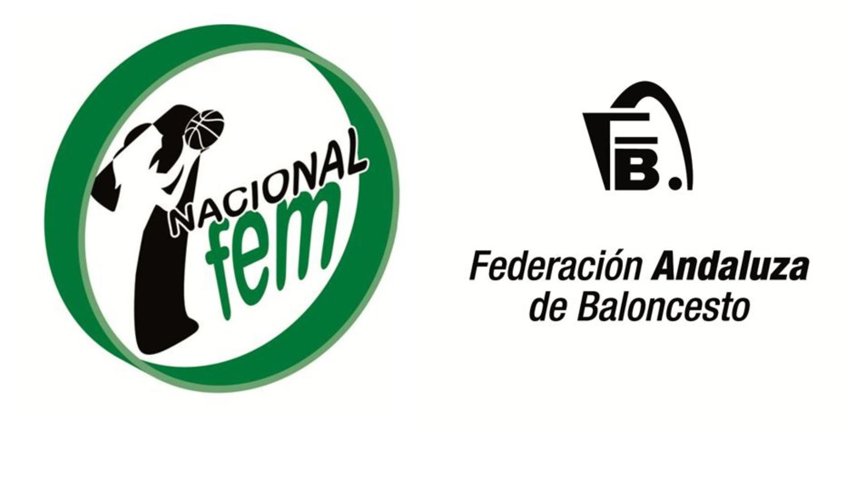 Primera División Femenina - PORTADA - Andaluza de Baloncesto